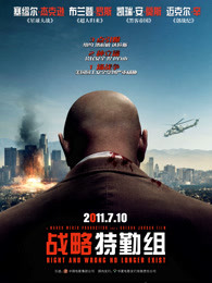 戰(zhàn)略特勤組(2010)