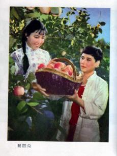 朝陽(yáng)溝（豫劇）