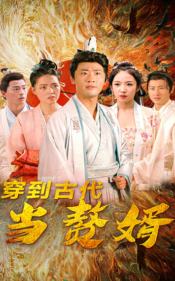 穿到古代當贅婿