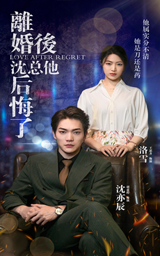 離婚后，沈總他后悔了