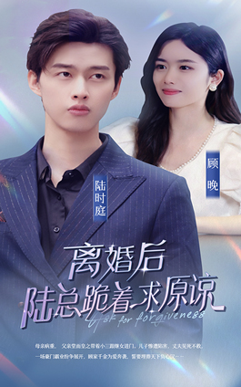 離婚后，陸總跪著求原諒