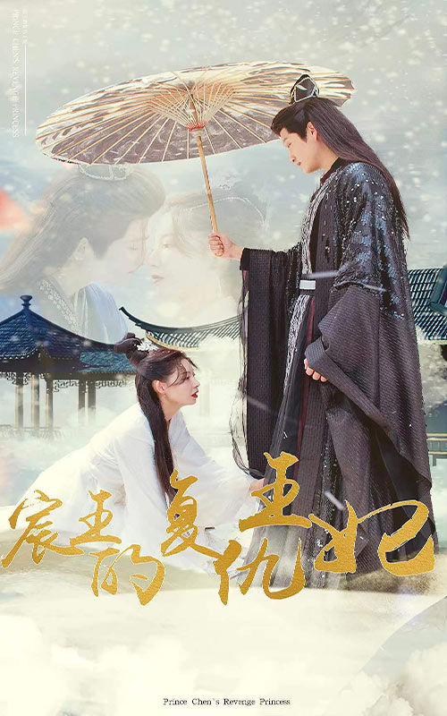 宸王的復(fù)仇王妃