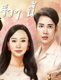 愛(ài)的領(lǐng)域