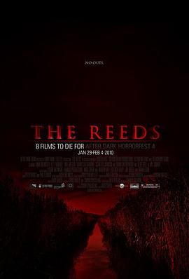 蘆葦?shù)? referrerpolicy=