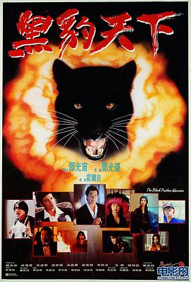 黑豹天下國(guó)語