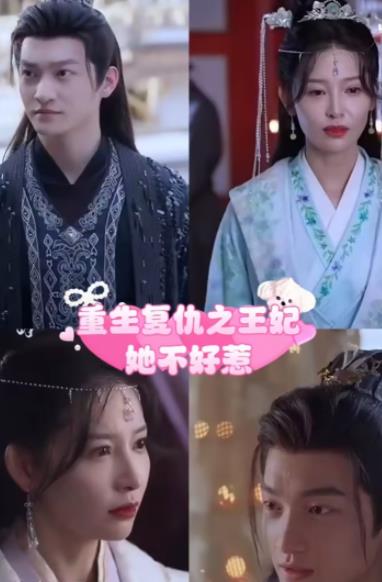 重生復(fù)仇之王妃她不好惹