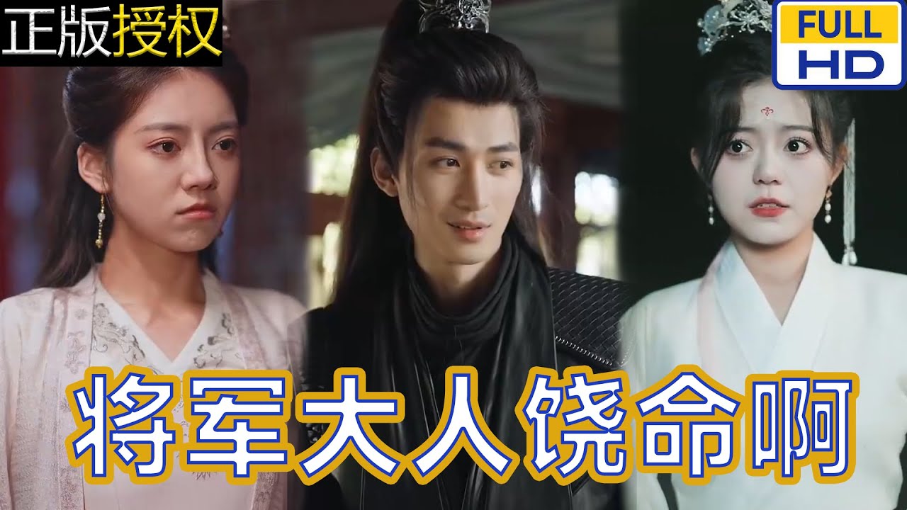 將軍大人饒命啊