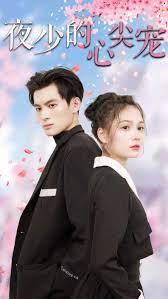 夜少的心尖寵