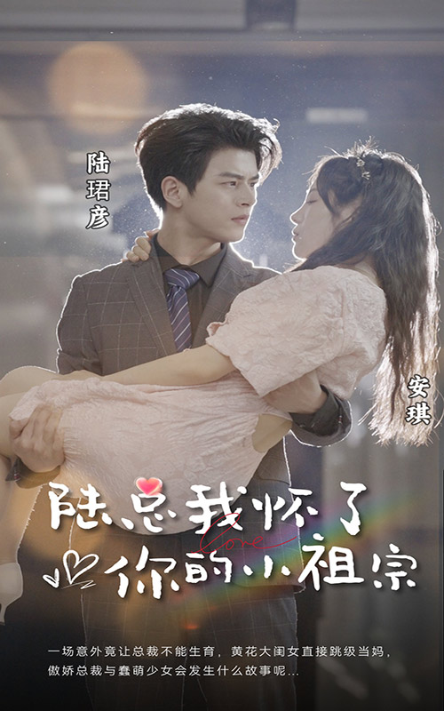 陸總，我懷了你的小祖宗