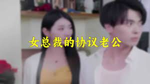 女總裁的協(xié)議老公