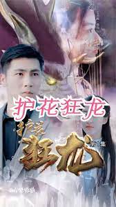 護(hù)花強(qiáng)龍