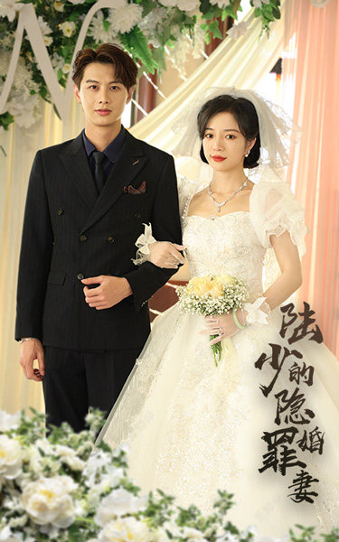 陸少的隱婚罪妻