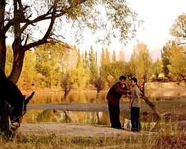 太陽(yáng)開(kāi)花